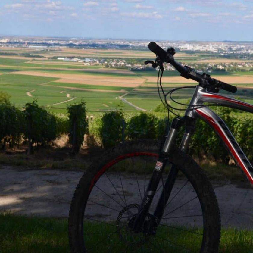 Gite Saint Martin Pargny-les-Reims Esterno foto